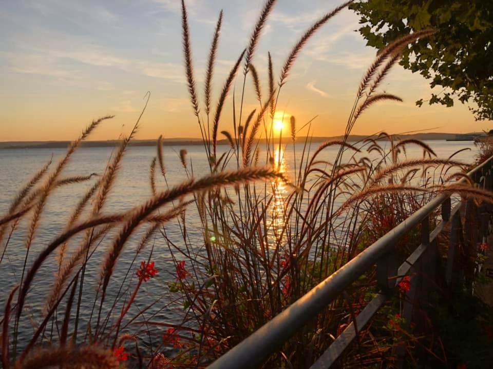 Ferienwohnung Toskana Mit Schwimmbad Und Sauna Bad Bergzabern Esterno foto