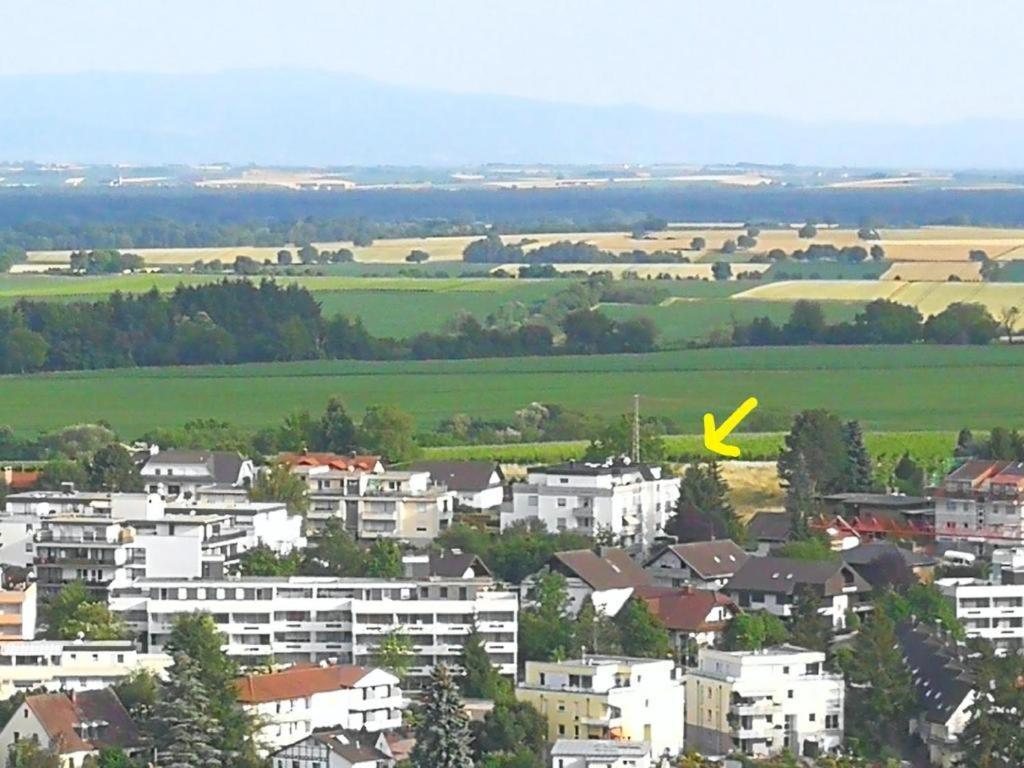 Ferienwohnung Toskana Mit Schwimmbad Und Sauna Bad Bergzabern Esterno foto